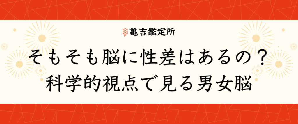 そもそも脳に性差はあるの？科学的視点で見る男女脳