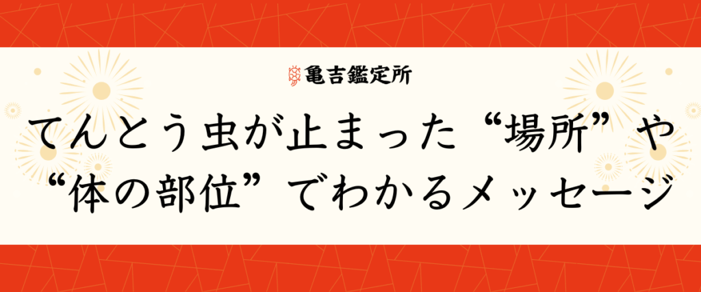 てんとう虫が止まった“場所”や“体の部位”でわかるメッセージ