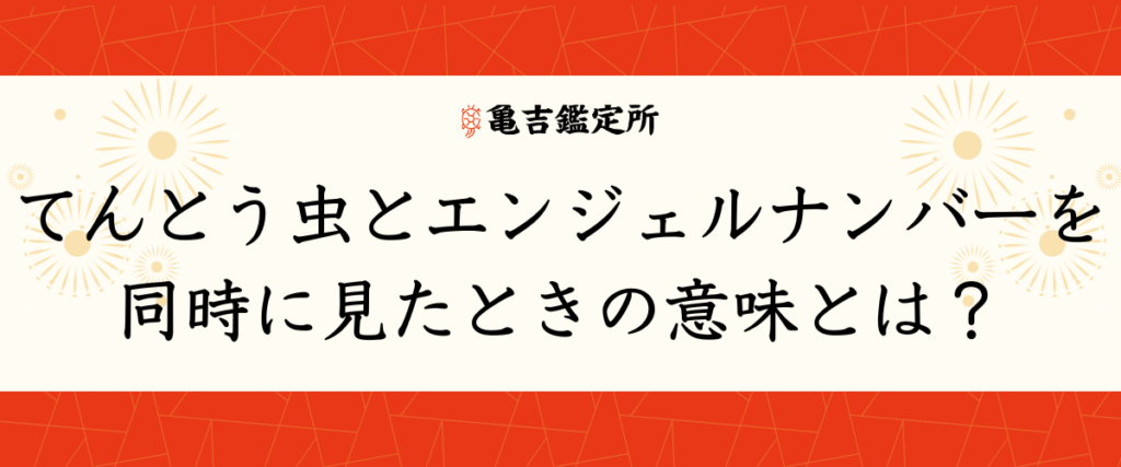 てんとう虫とエンジェルナンバーを同時に見たときの意味とは？