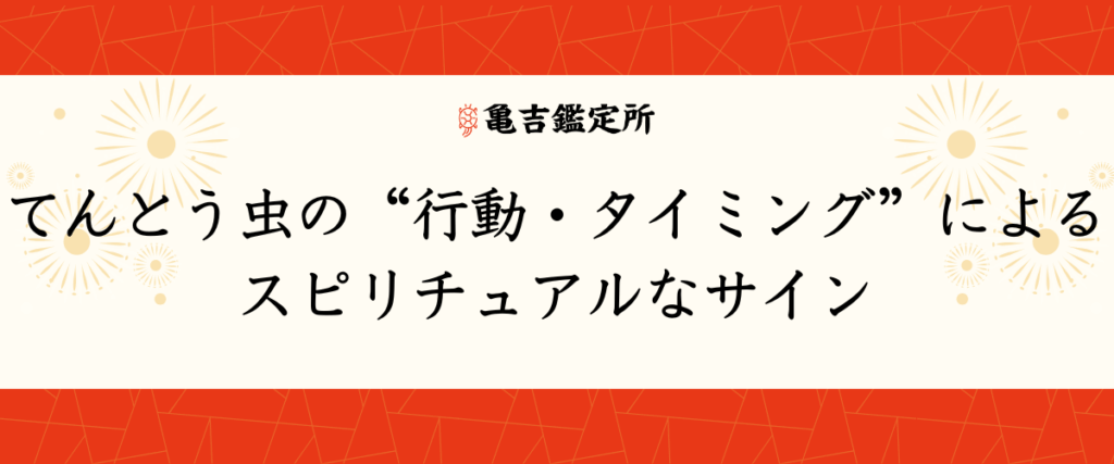 てんとう虫の“行動・タイミング”によるスピリチュアルなサイン