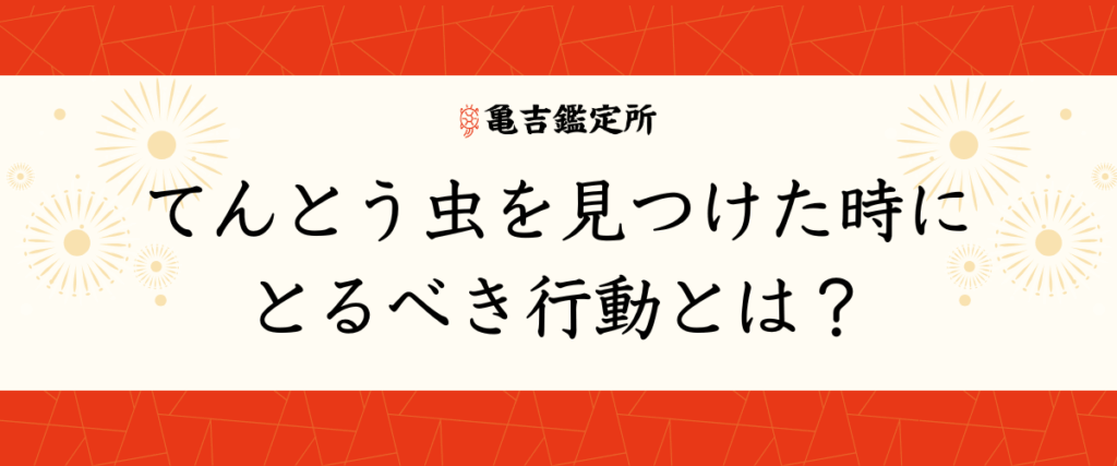 てんとう虫を見つけた時にとるべき行動とは？