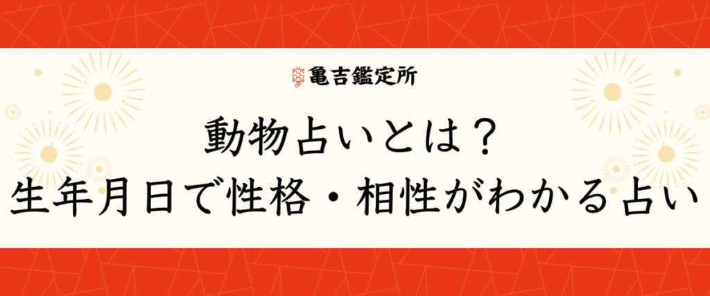 動物占いとは？生年月日で性格・相性がわかる占い