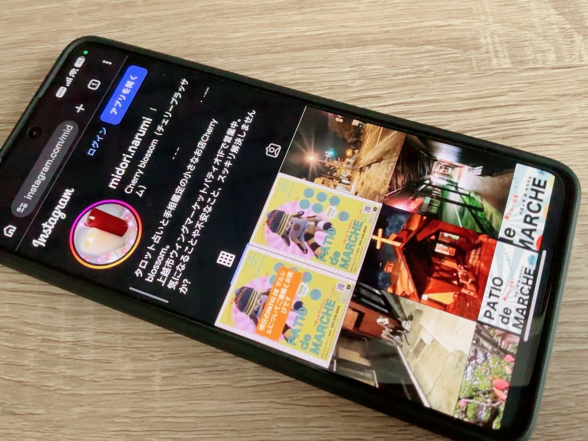 チェリーブラッサム