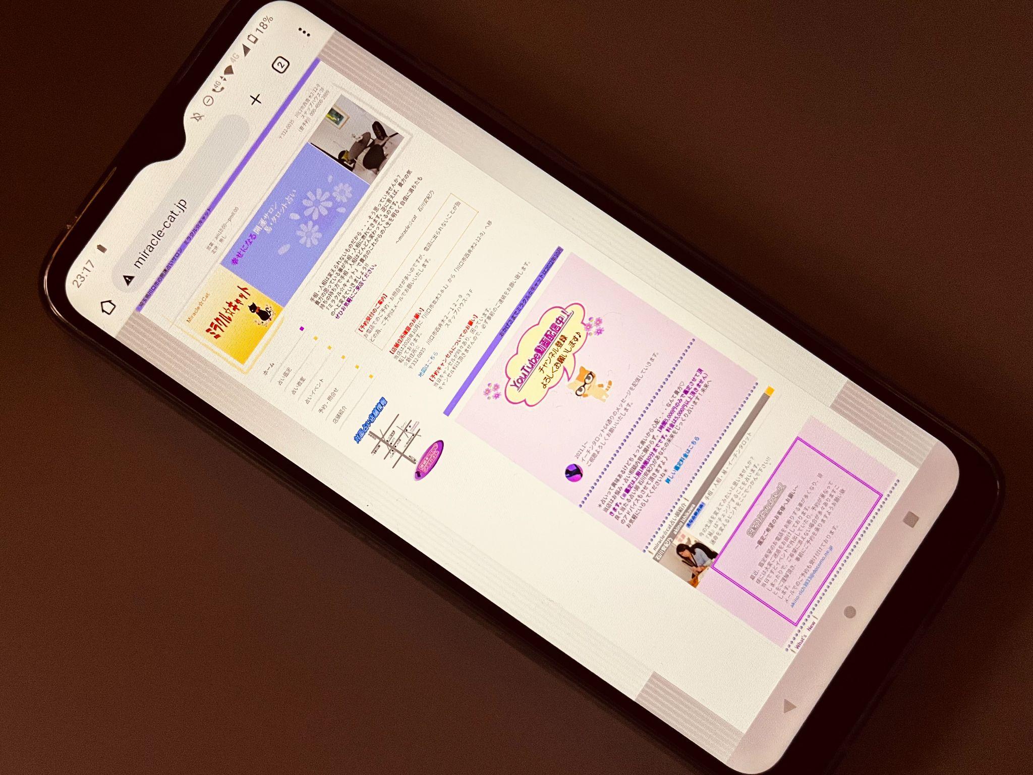 ミラクル・キャット