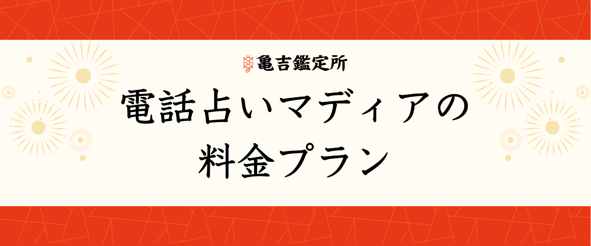 電話占いマディアの料金プラン