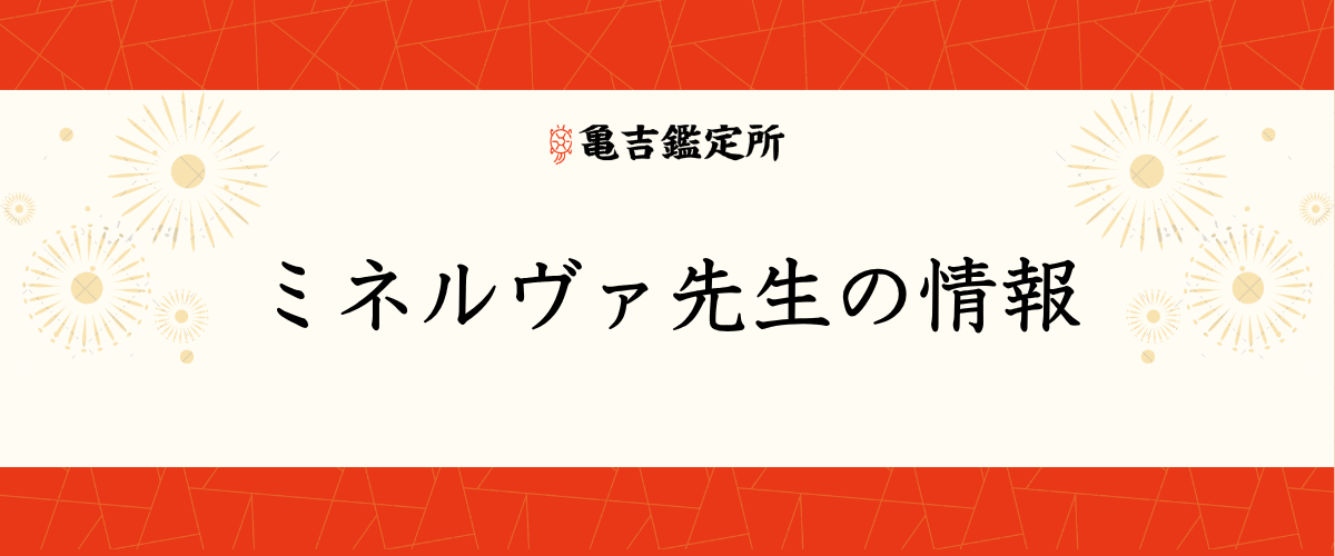 ミネルヴァ先生の情報