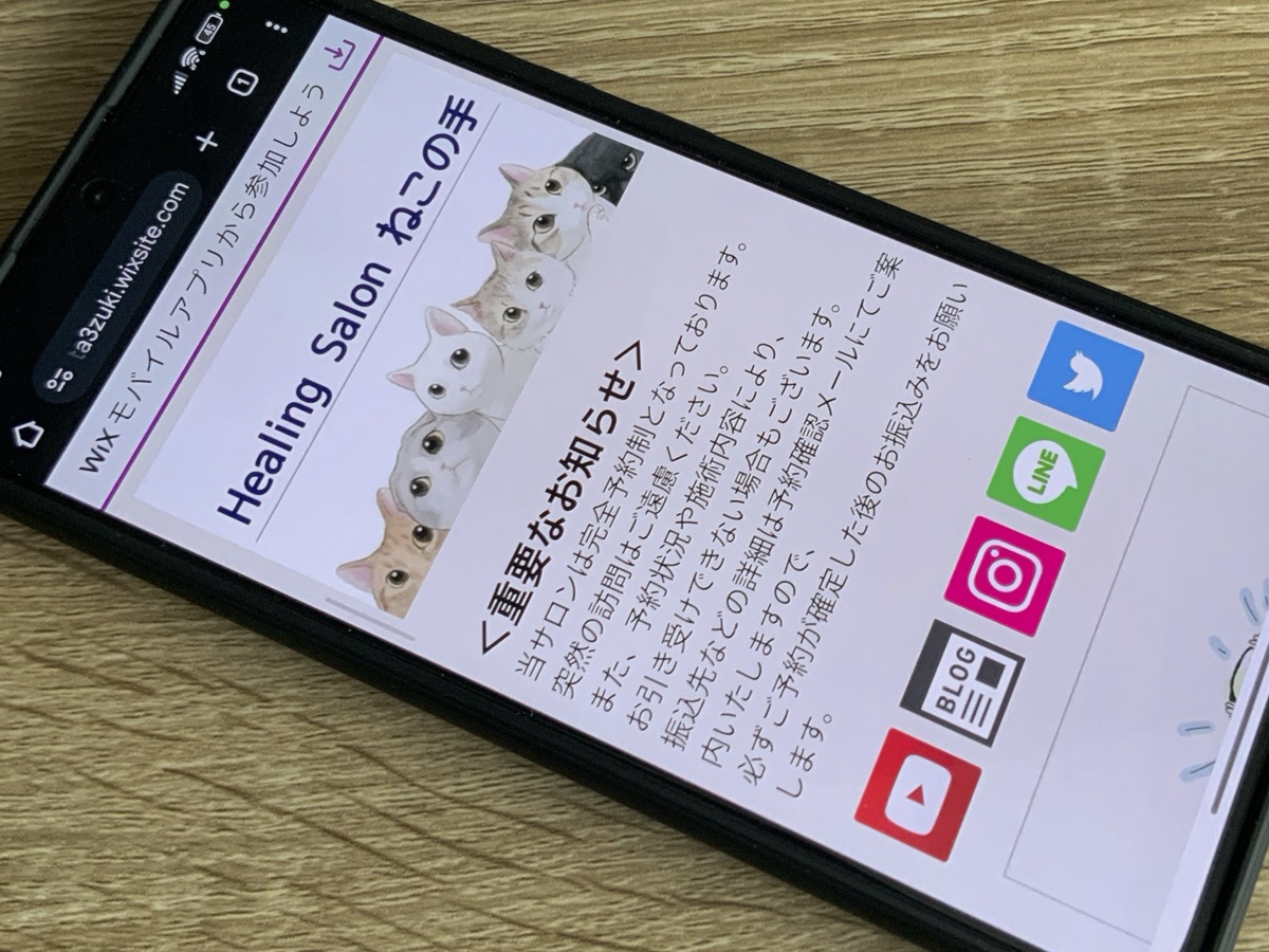 ヒーリングサロンねこの手