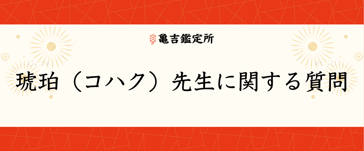 琥珀（コハク）先生に関する質問
