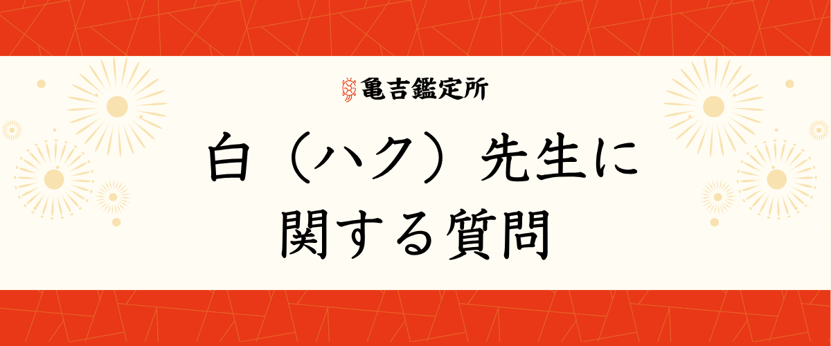 白(ハク)先生に関する質問