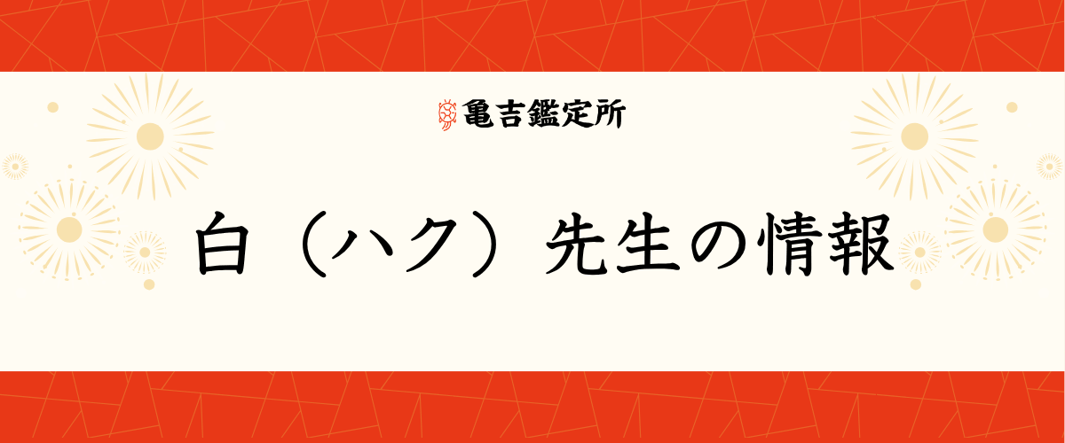白(ハク)先生の情報