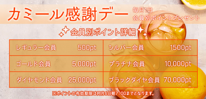 ライブ占いカミールVoIP